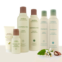 Romero i menta i Shampure - AVEDA